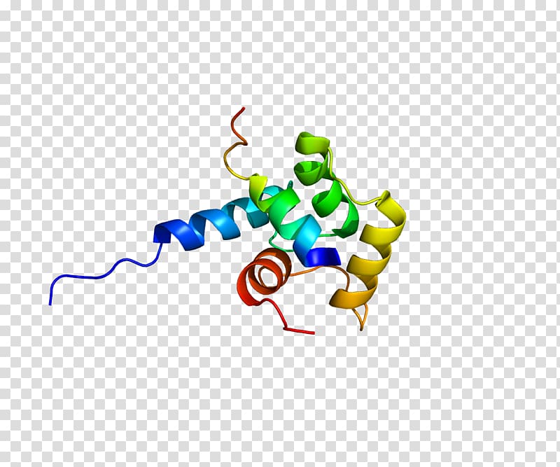 XPC Protein Nucleotide excision repair Xeroderma pigmentosum XPB, J transparent background PNG clipart