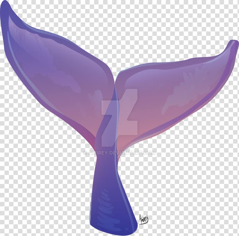 Whale tail Violet Lilac, whale watercolor transparent background PNG clipart