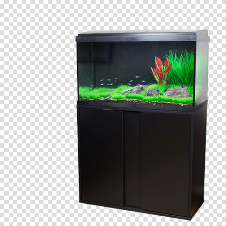 Freshwater aquarium Discovery Aquatics Tropical fish Aquascaping, aqua aquarium transparent background PNG clipart