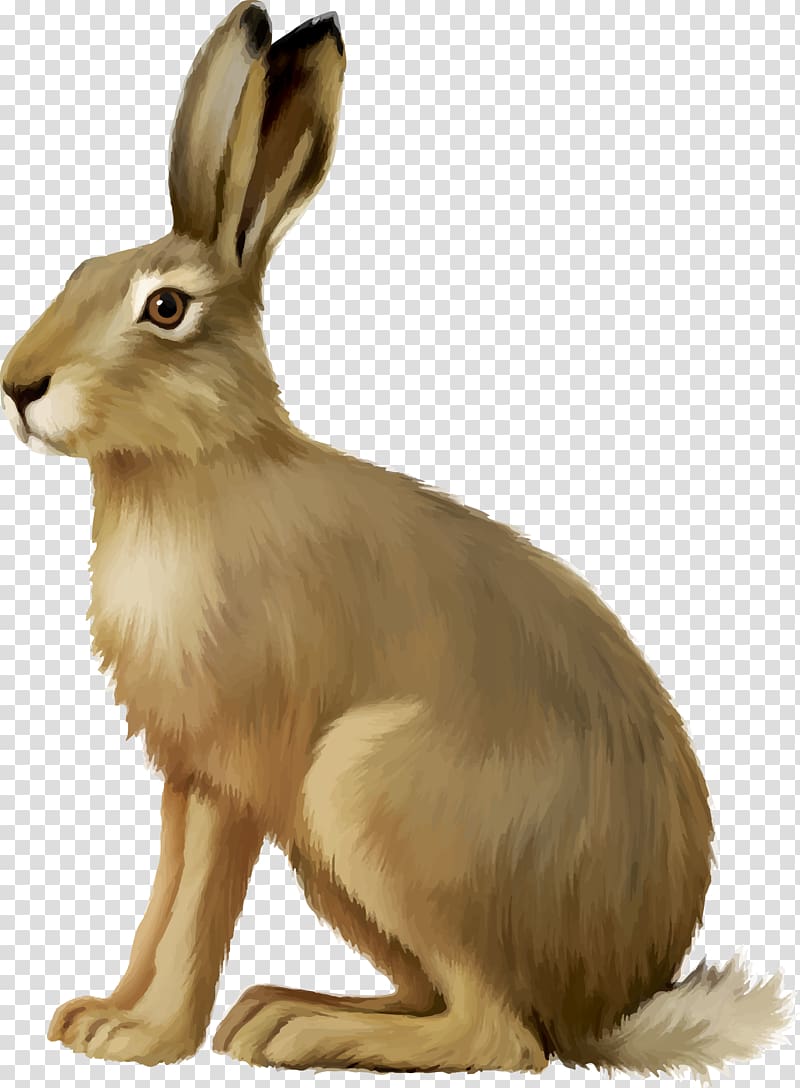 European hare Easter Bunny Rabbit , bunny transparent background PNG clipart
