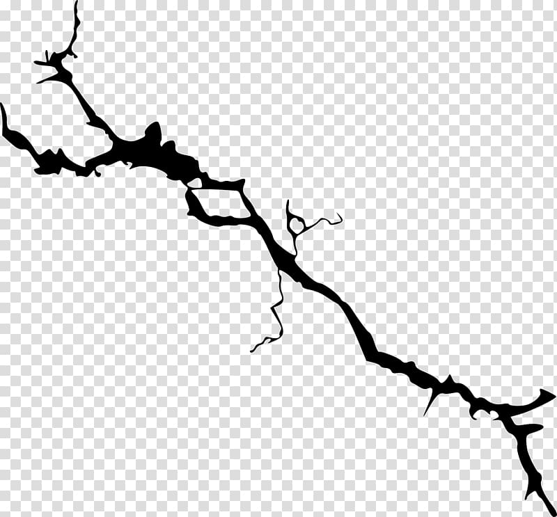 black branch , Branch Tree , wall crack transparent background PNG clipart