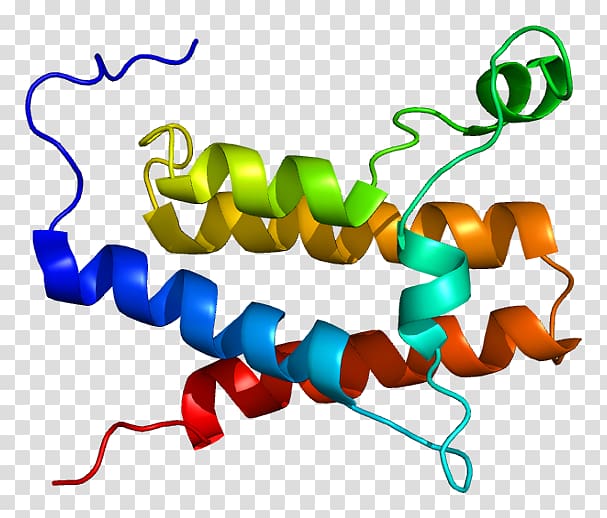 SMARCA2 SWI/SNF Gene Protein Data Bank, others transparent background PNG clipart