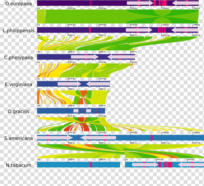 Parasitic plant Genome Sequence alignment Phylogenetic tree, New label transparent background PNG clipart