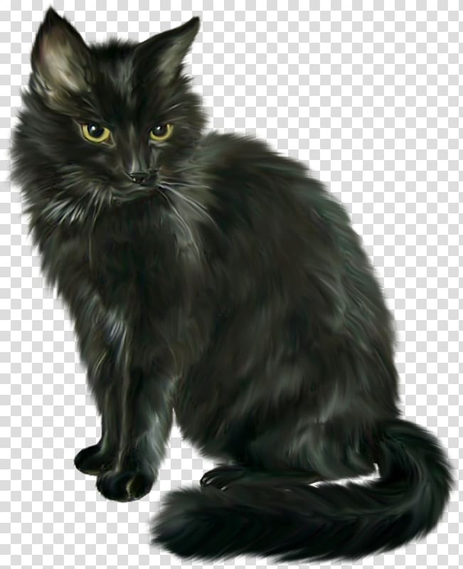 long-furred black cat illustration, Cat , Black Cat Halloween Horror transparent background PNG clipart