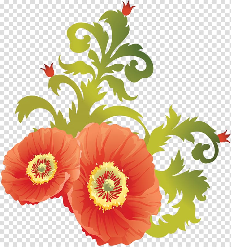 Opium poppy Flower , poppy transparent background PNG clipart