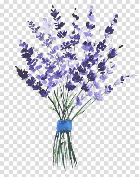 English lavender Watercolor painting , painting transparent background PNG clipart