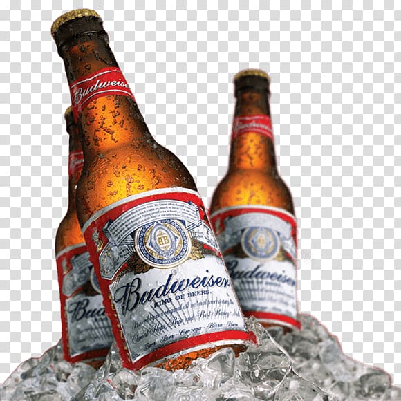 budweiser beer bottle png