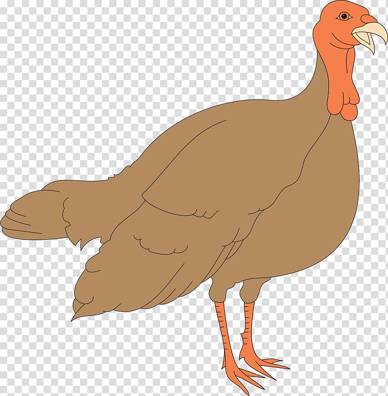Black turkey Thanksgiving Chicken , Brown chicken transparent background PNG clipart