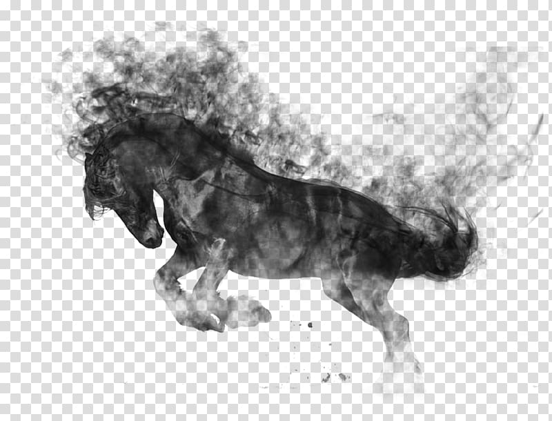 Horse gait Dog breed, horse transparent background PNG clipart