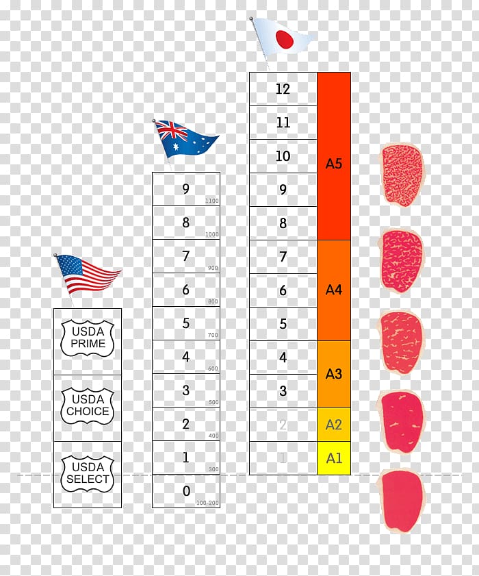 European cuisine Beefsteak Hamburger Marbled meat, angus beef steaks chart transparent background PNG clipart
