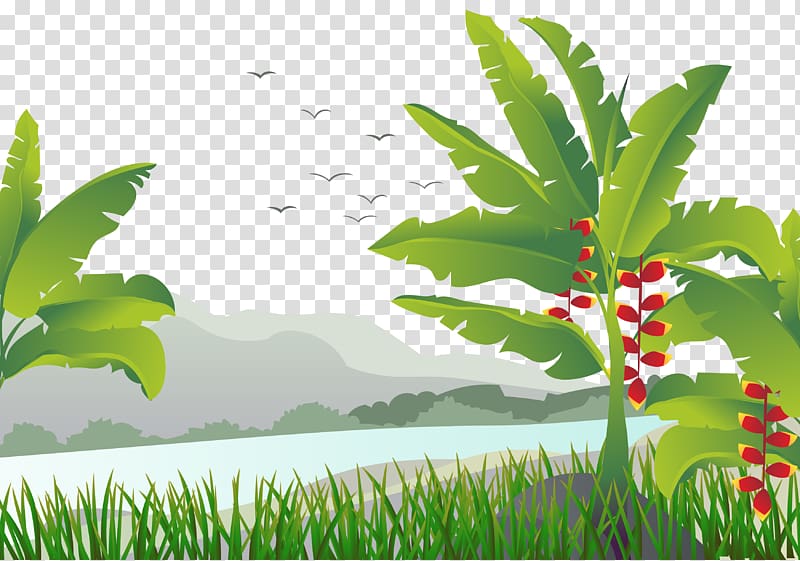 green leafed tree illustration, Banana leaf Tree Illustration, Tropical mango tree transparent background PNG clipart