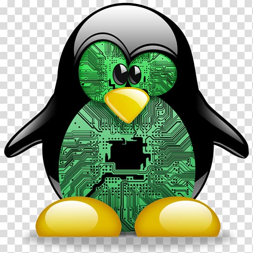 Penguin Tux, of Math Command Linux From Scratch Linux kernel, Penguin transparent background PNG clipart