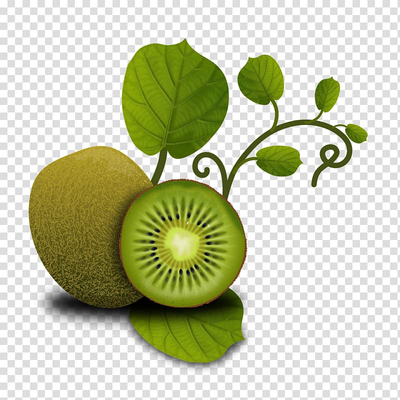 Kiwifruit Food Health Orange, kiwi transparent background PNG clipart