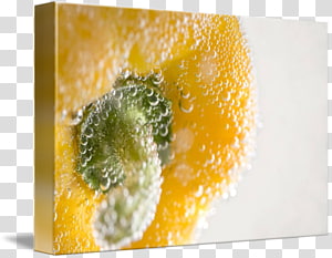 Vegetarian cuisine Food Vegetarianism La Quinta Inns & Suites, yellow pepper transparent background PNG clipart thumbnail