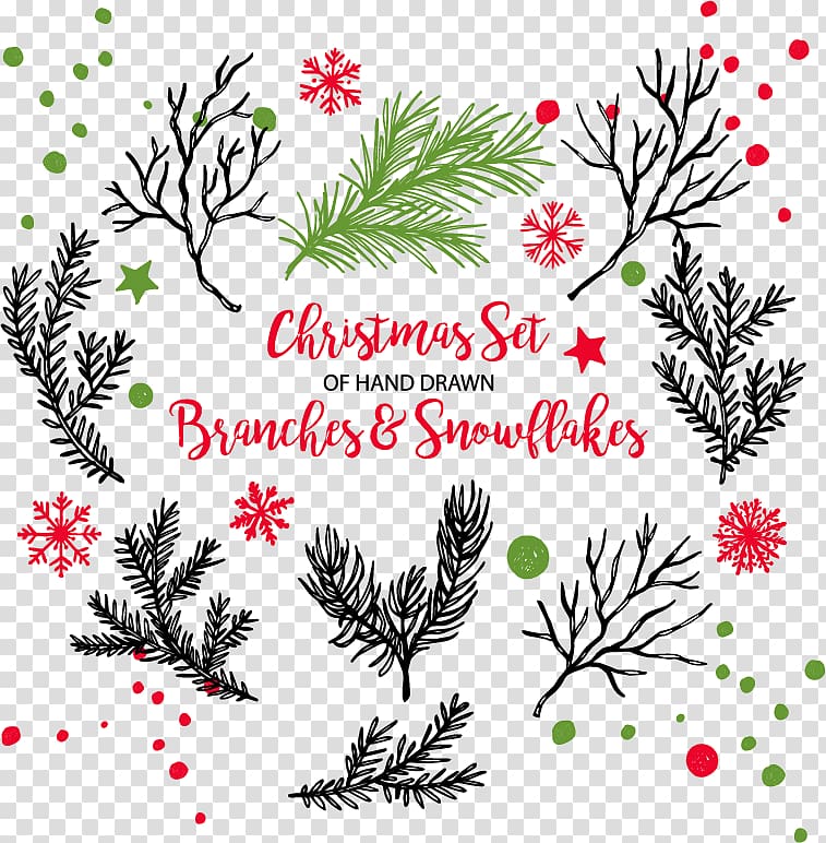 Christmas tree Branch, Winter decorative hand-painted flowers transparent background PNG clipart