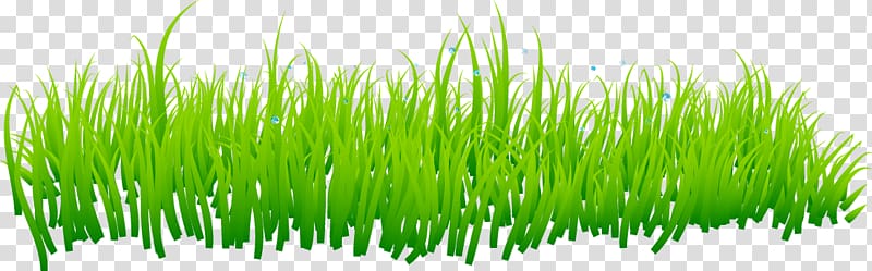 green grass illustration, Grass Lawn, grass transparent background PNG clipart