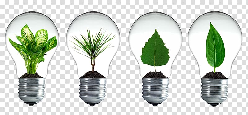 Incandescent light bulb LED lamp Light-emitting diode Table Edison screw, table transparent background PNG clipart