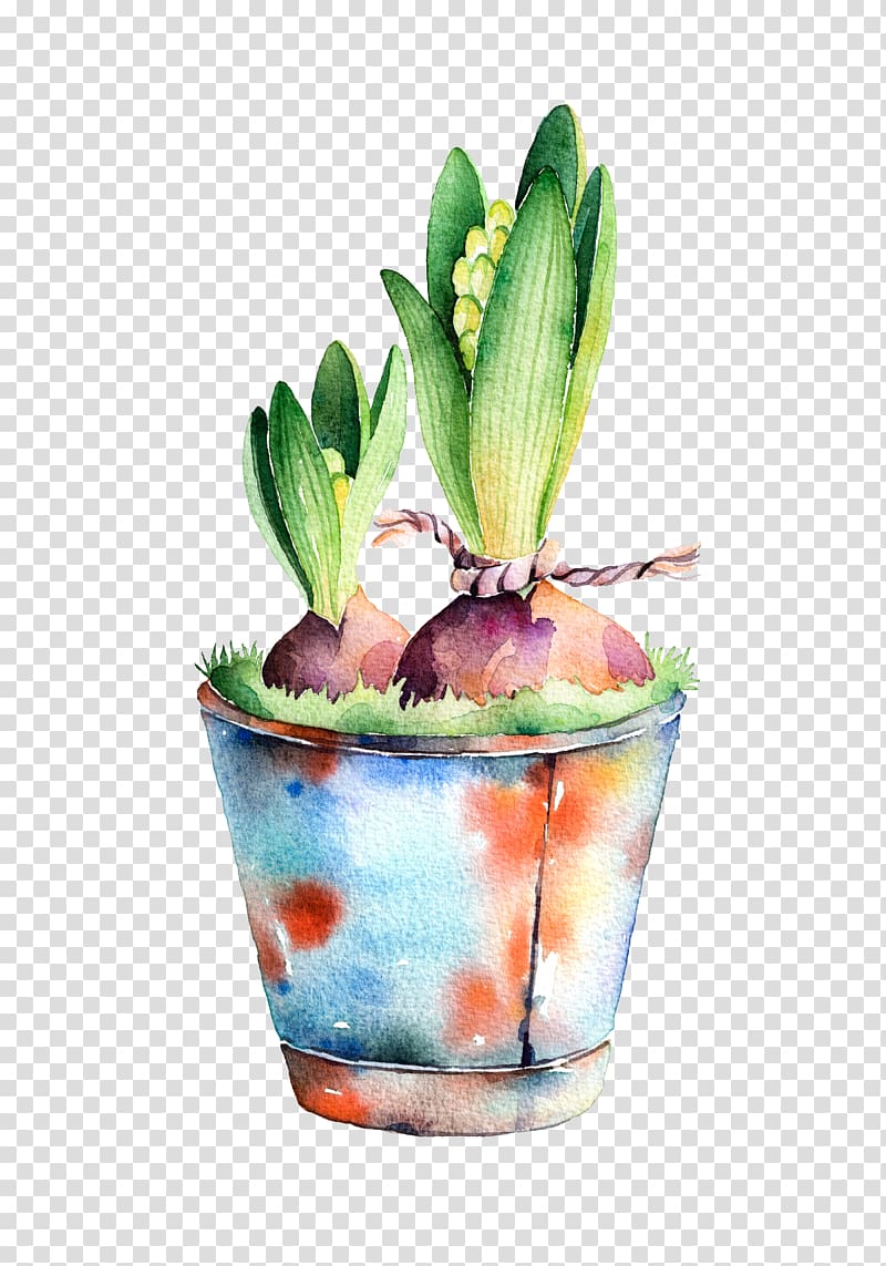 Watercolor painting Hyacinth Illustration, Hand-painted Bana transparent background PNG clipart