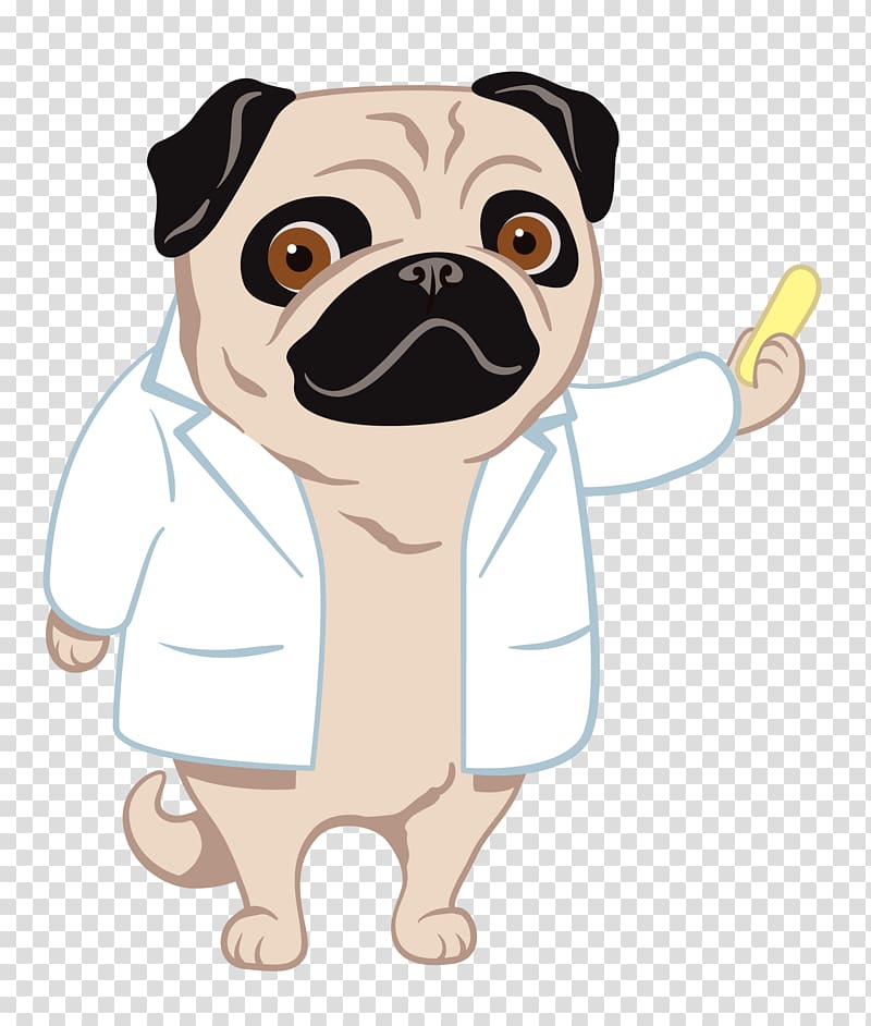 Pug Puppy Pharmacy technician Dog breed, chalk board flyer transparent background PNG clipart