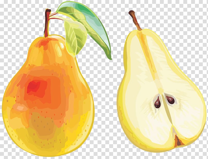 Accessory fruit Pear Food, pear transparent background PNG clipart