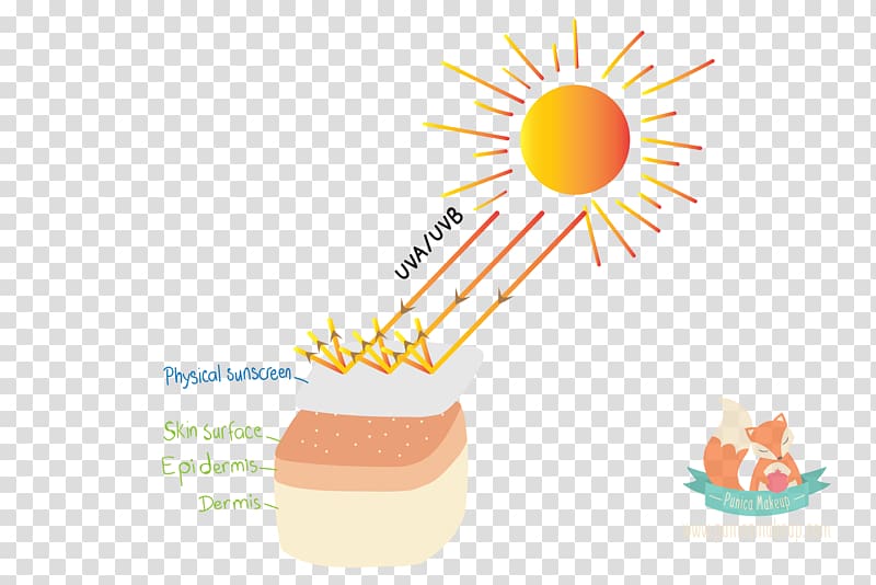 Sunscreen Ultraviolet Titanium dioxide Zinc oxide Skin, protect skin transparent background PNG clipart