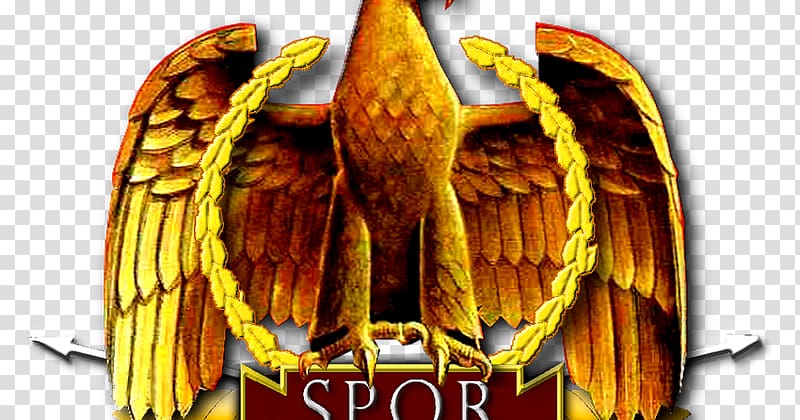 Nazi Germany The Rise and Fall of the Third Reich Eagle Nazi Party Nazism, eagle transparent background PNG clipart