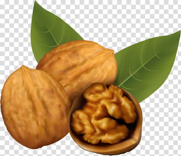 Walnut , walnut transparent background PNG clipart