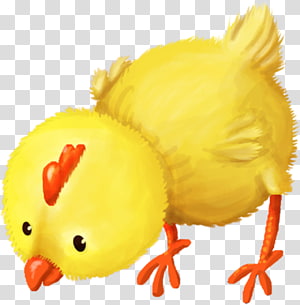 Chicken , chicken transparent background PNG clipart thumbnail