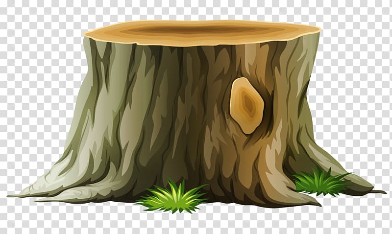 Tree stump Trunk , stump transparent background PNG clipart