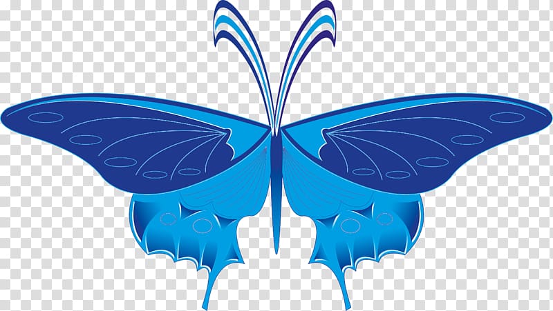 Nymphalidae Butterfly Symmetry Microsoft Azure , butterfly transparent background PNG clipart