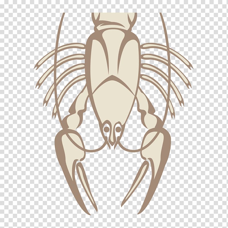 Beer Lobster Seafood Illustration, line transparent background PNG clipart