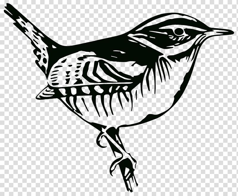 Bird Beak Silhouette Passerine Vertebrate, Bird transparent background PNG clipart