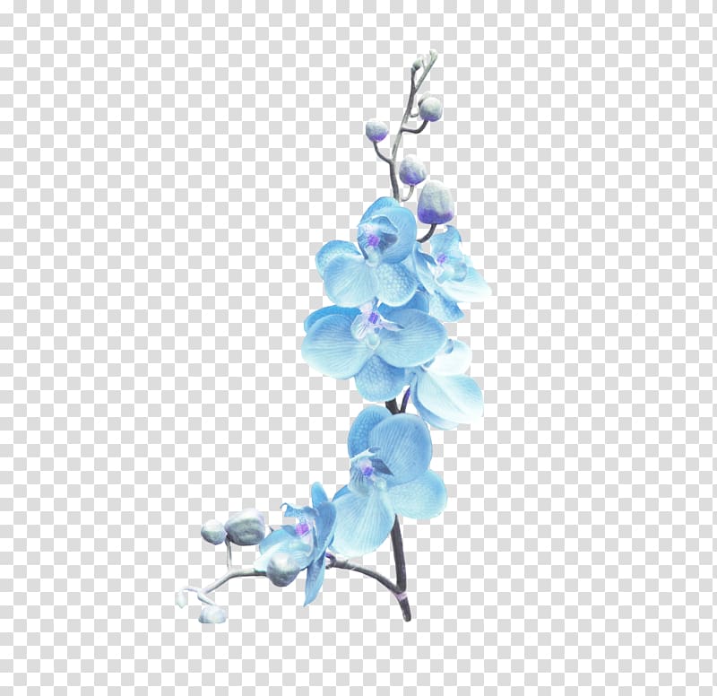 Flower Yandex Search, blue floral transparent background PNG clipart
