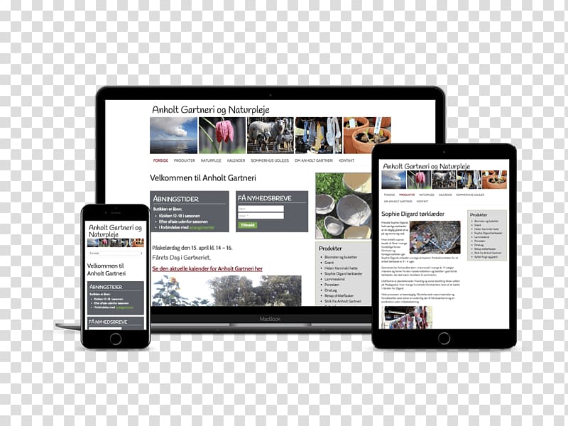 Website Capparsa, LLC Multimedia Product Web design, website ui design transparent background PNG clipart