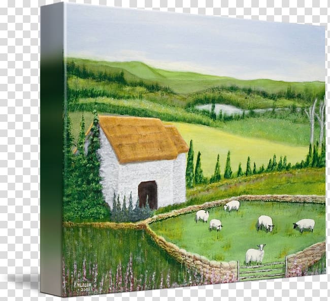 Sheep farming Painting Ireland, sheep transparent background PNG clipart