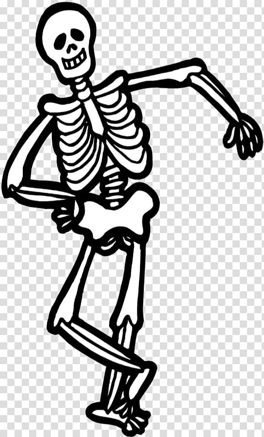 Human skeleton Drawing , Skeleton transparent background PNG clipart