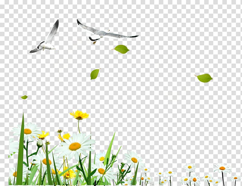Gratis , Field Scenery transparent background PNG clipart