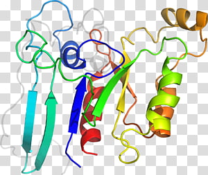 Line art Point , line transparent background PNG clipart thumbnail