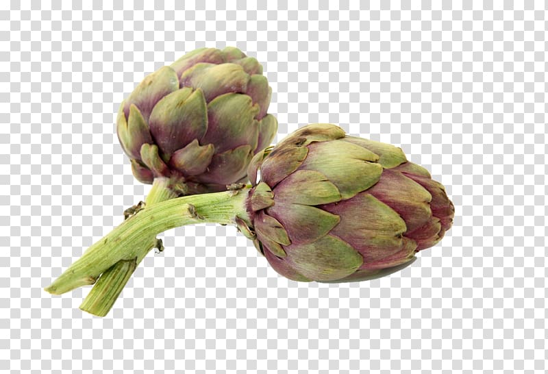 Artichoke Vegetable Avocado, artichokes transparent background PNG clipart