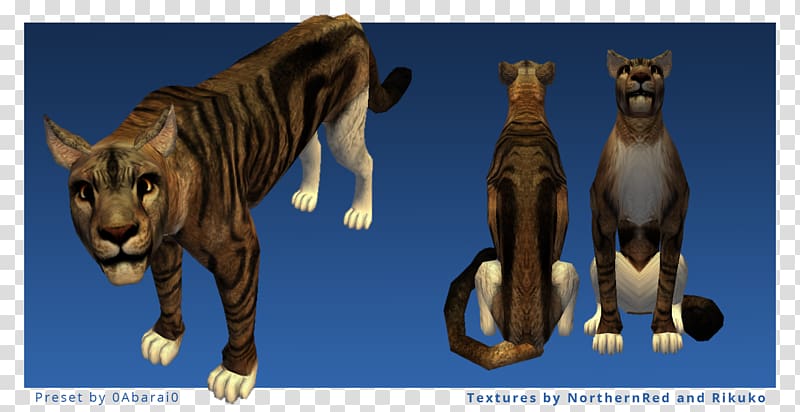 Tiger Cat Terrestrial animal Wildlife Puma, May 10 transparent background PNG clipart