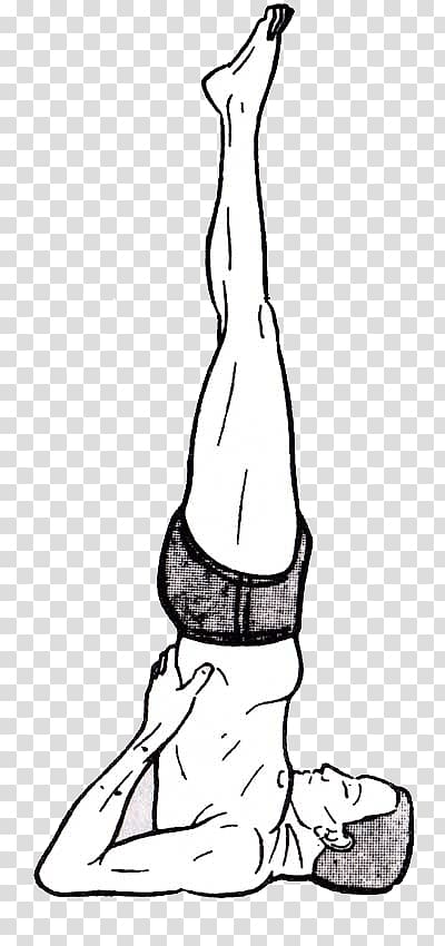 Sarvangasana Posture Hatha yoga Exercise, Yoga transparent background PNG clipart