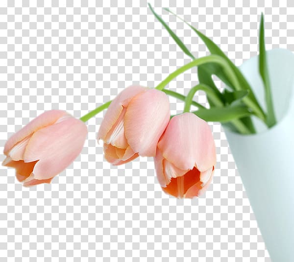 Flower Desktop UXGA Birthday , a variety of floral patterns transparent background PNG clipart