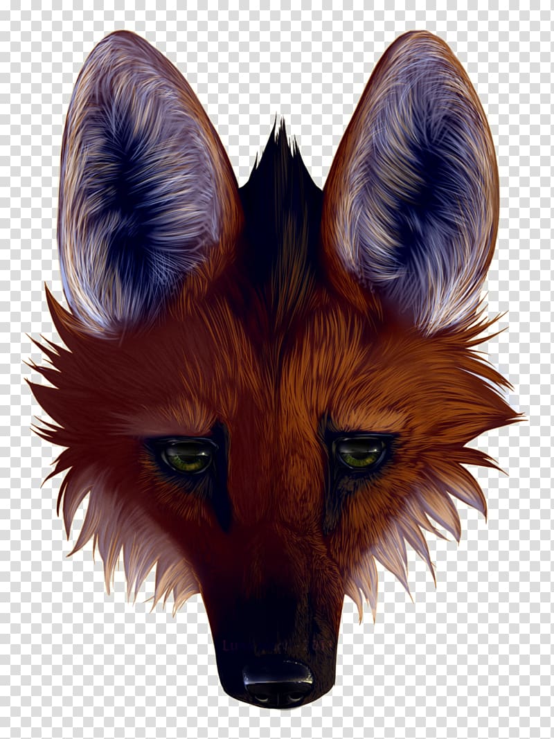 Maned wolf Wolfdog Face Animal, wolf transparent background PNG clipart
