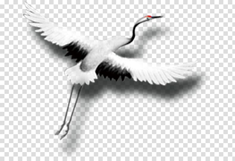 Red-crowned crane China, China Wind egret transparent background PNG clipart