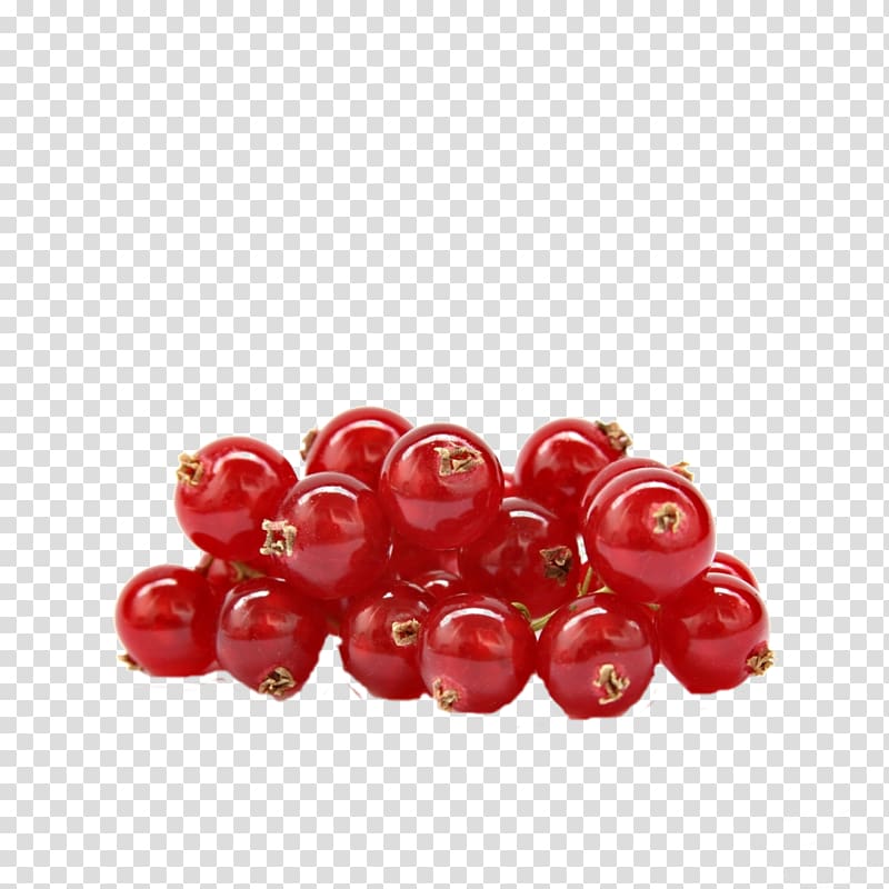 Fruit Lingonberry Peruvian groundcherry Redcurrant, berries transparent background PNG clipart