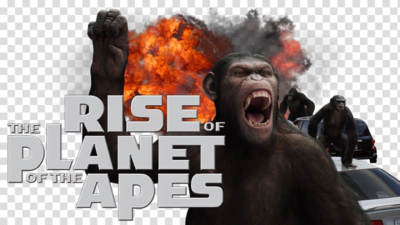 Planet of the Apes 0 Television Film, Planet of the Apes transparent background PNG clipart