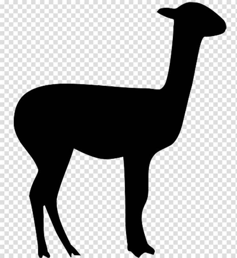 Llama Alpaca Vicuña , Silhouette transparent background PNG clipart