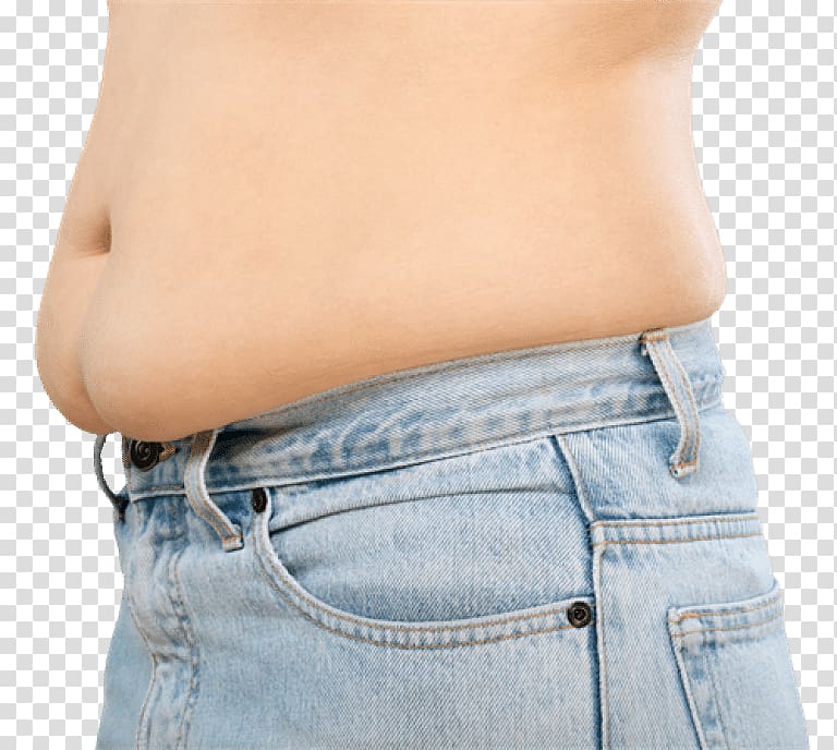 Waist Abdomen Abdominal obesity Health Fat, health transparent background PNG clipart