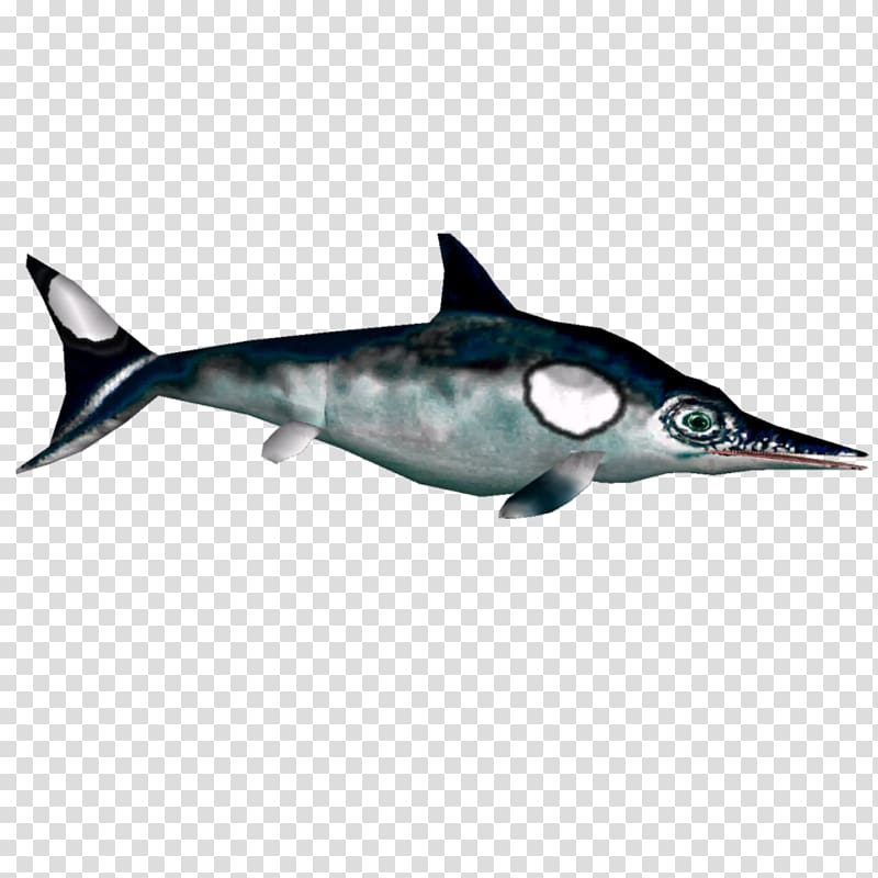 Portable Network Graphics Rough-toothed dolphin , aligator transparent background PNG clipart