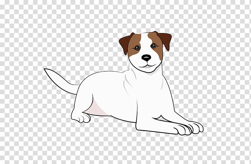 Dog breed Jack Russell Terrier Parson Russell Terrier Puppy Companion dog, puppy transparent background PNG clipart